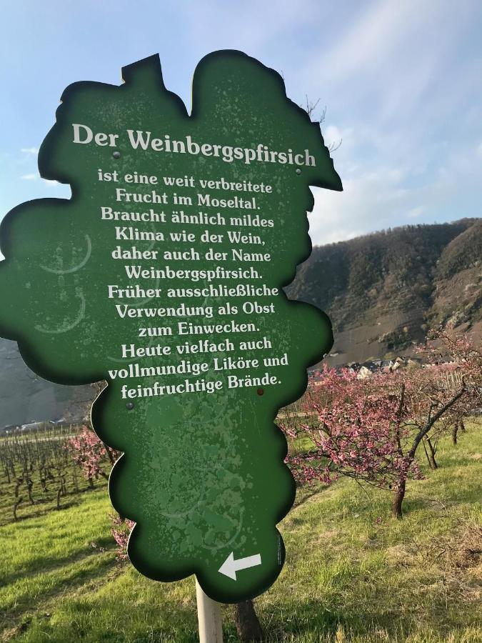 Residenz Moselzauber - Ferienwohnungen Mit Pool Landschaft Ernst Exterior foto