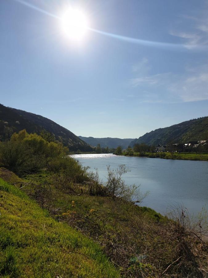 Residenz Moselzauber - Ferienwohnungen Mit Pool Landschaft Ernst Exterior foto